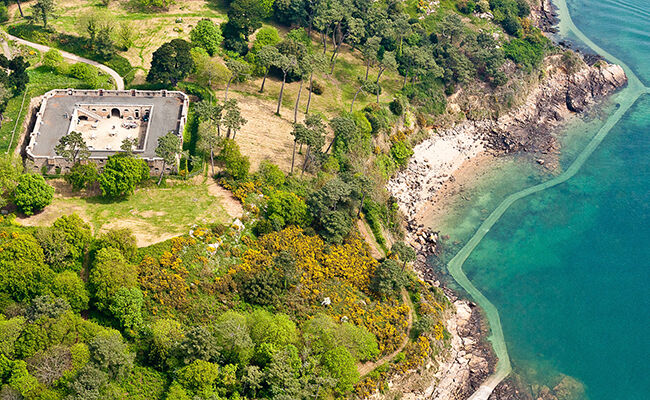 Zoomer sur l'image : 