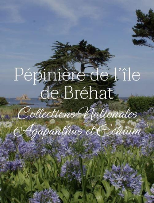 Zoomer sur l'image : 